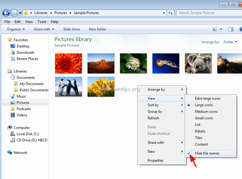 Windows Vista Explorer View Hidden Folders