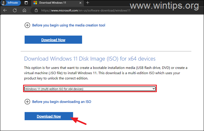 Download Windows 11 in ISO file