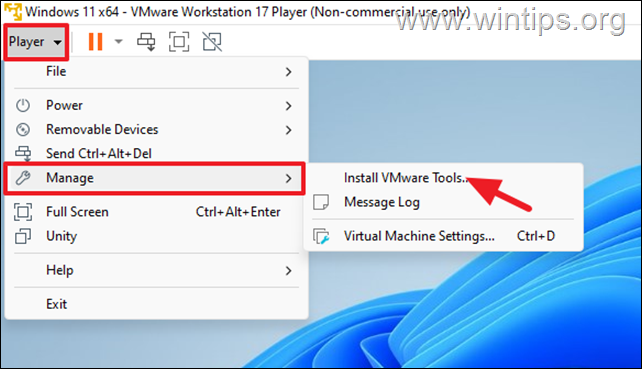 install vmware tools