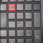 FIX: Numeric keypad Not Working on Windows 10/11