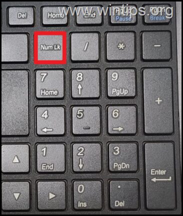 FIX: Numeric keypad Not Working on Windows 10/11