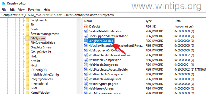 LongPathsEnabled 